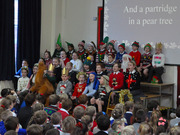 5M Class Assembly